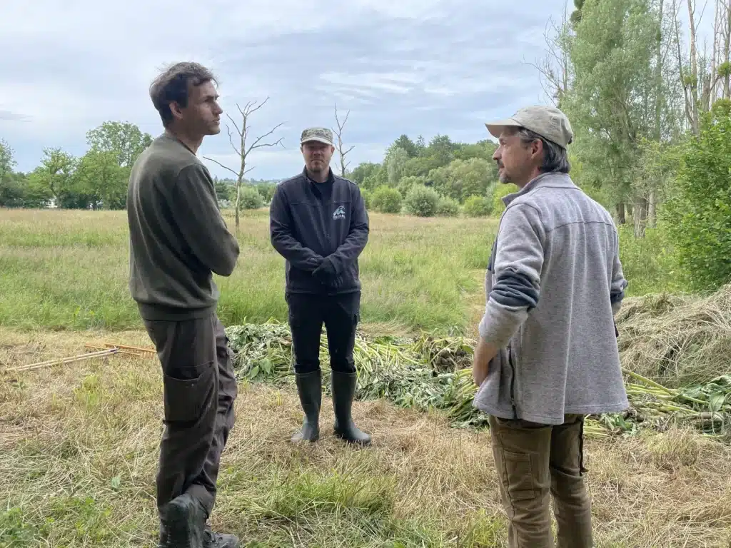 Journée d’action trinationale contre la balsamine de l’Himalaya, bassin de la Gueule, photo 3
