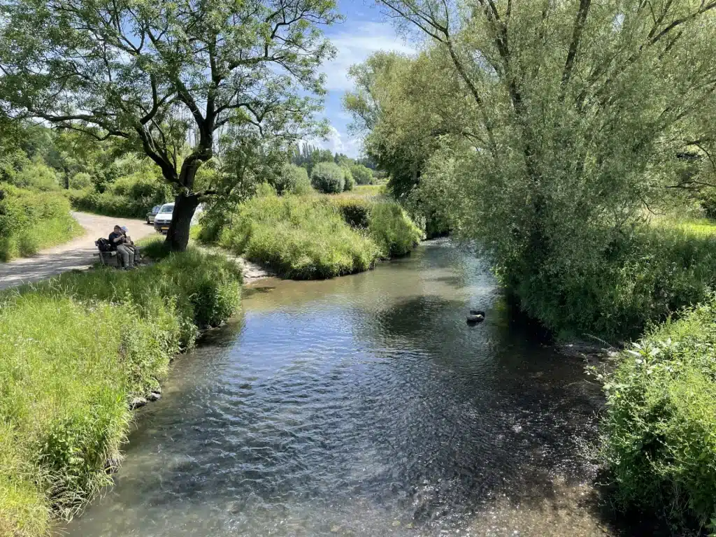 Journée d’action trinationale contre la balsamine de l’Himalaya, bassin de la Gueule, photo 5