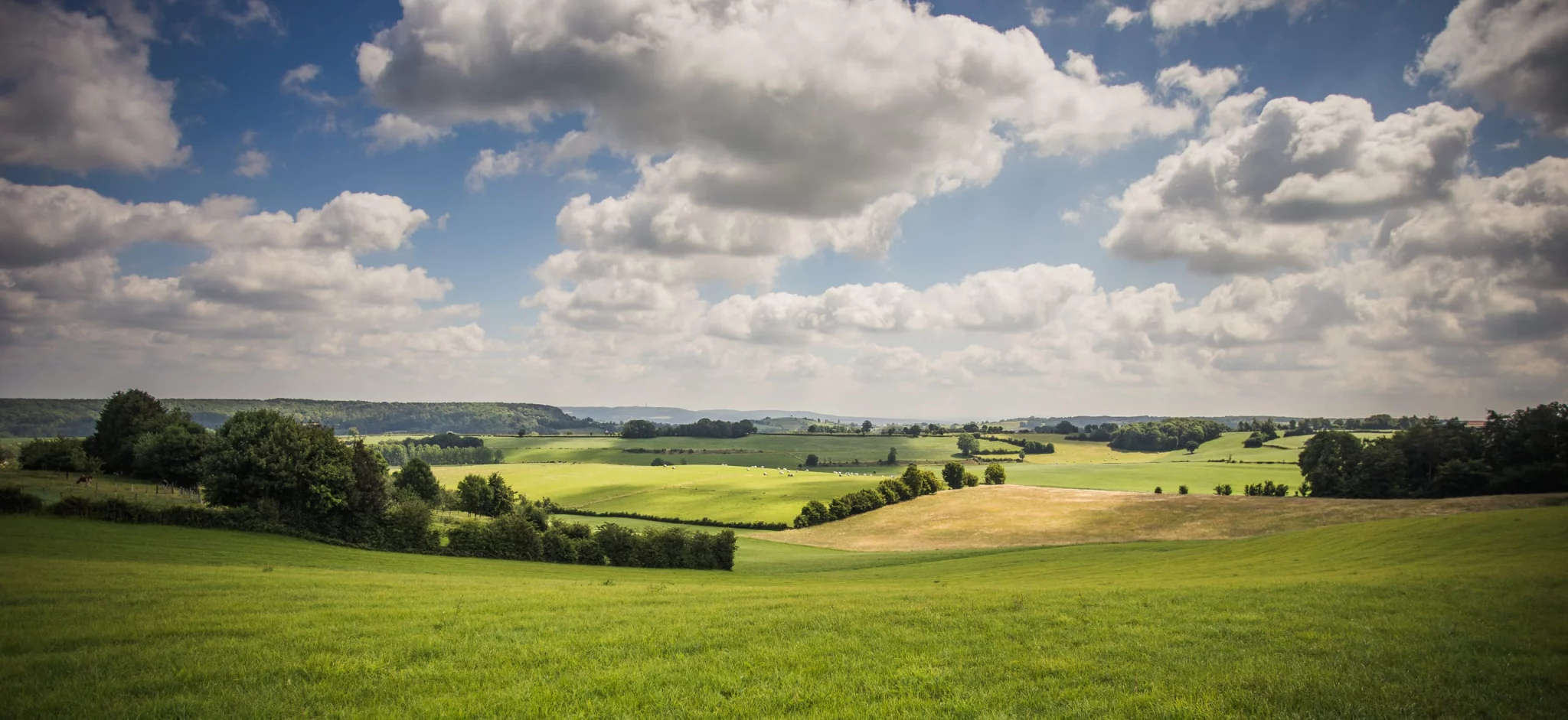 Paysage vallonné de Voeren, dans l'Euregio Meuse-Rhin